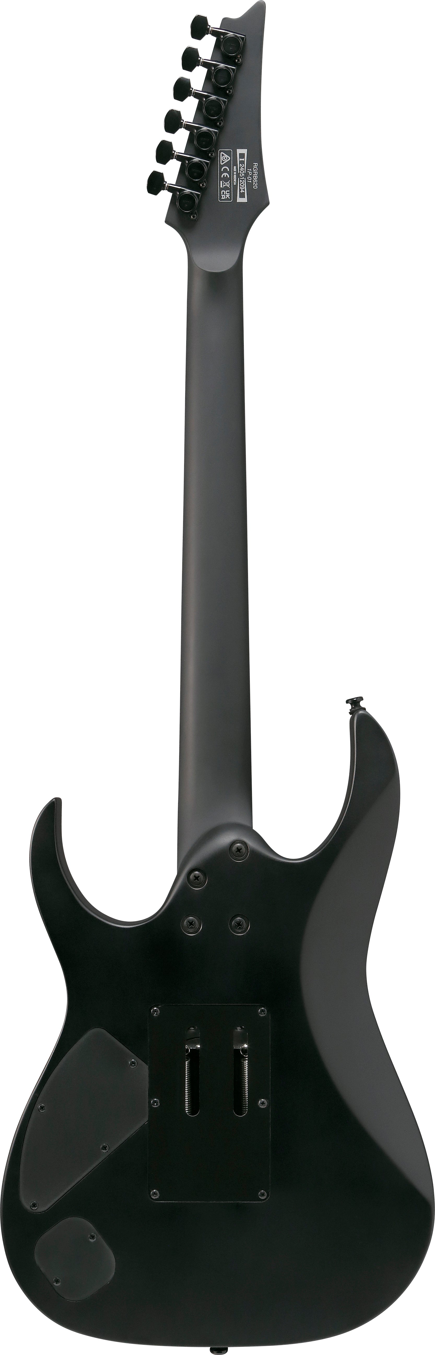 Ibanez Electric Guitar - RG Iron Label 6str Electric Guitar - Black - RGRB620BKF