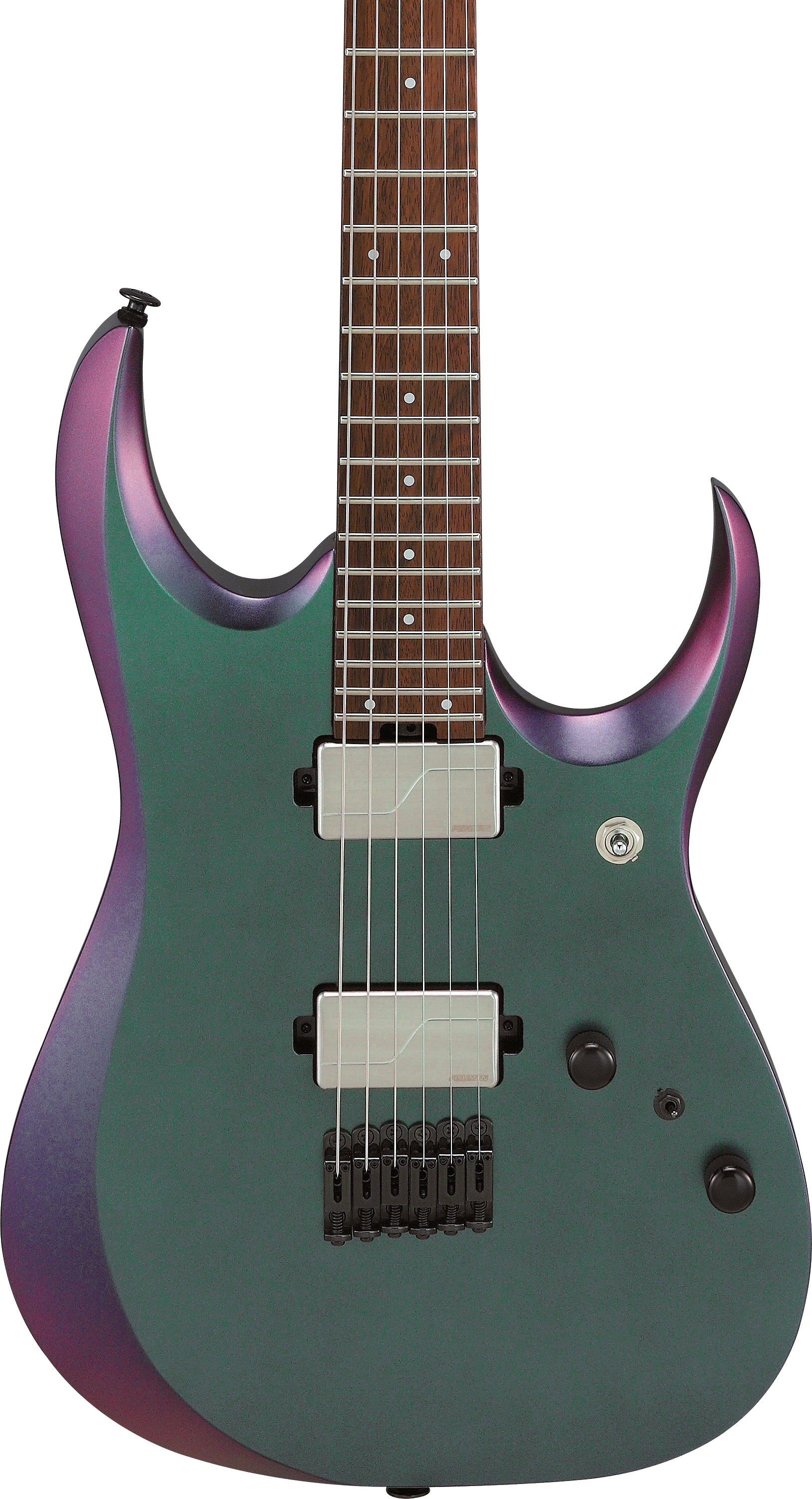 Ibanez Electric Guitar - RGD Prestige 6str Electric Guitar w/Case - Polar Lights Flat - RGD3121PRF