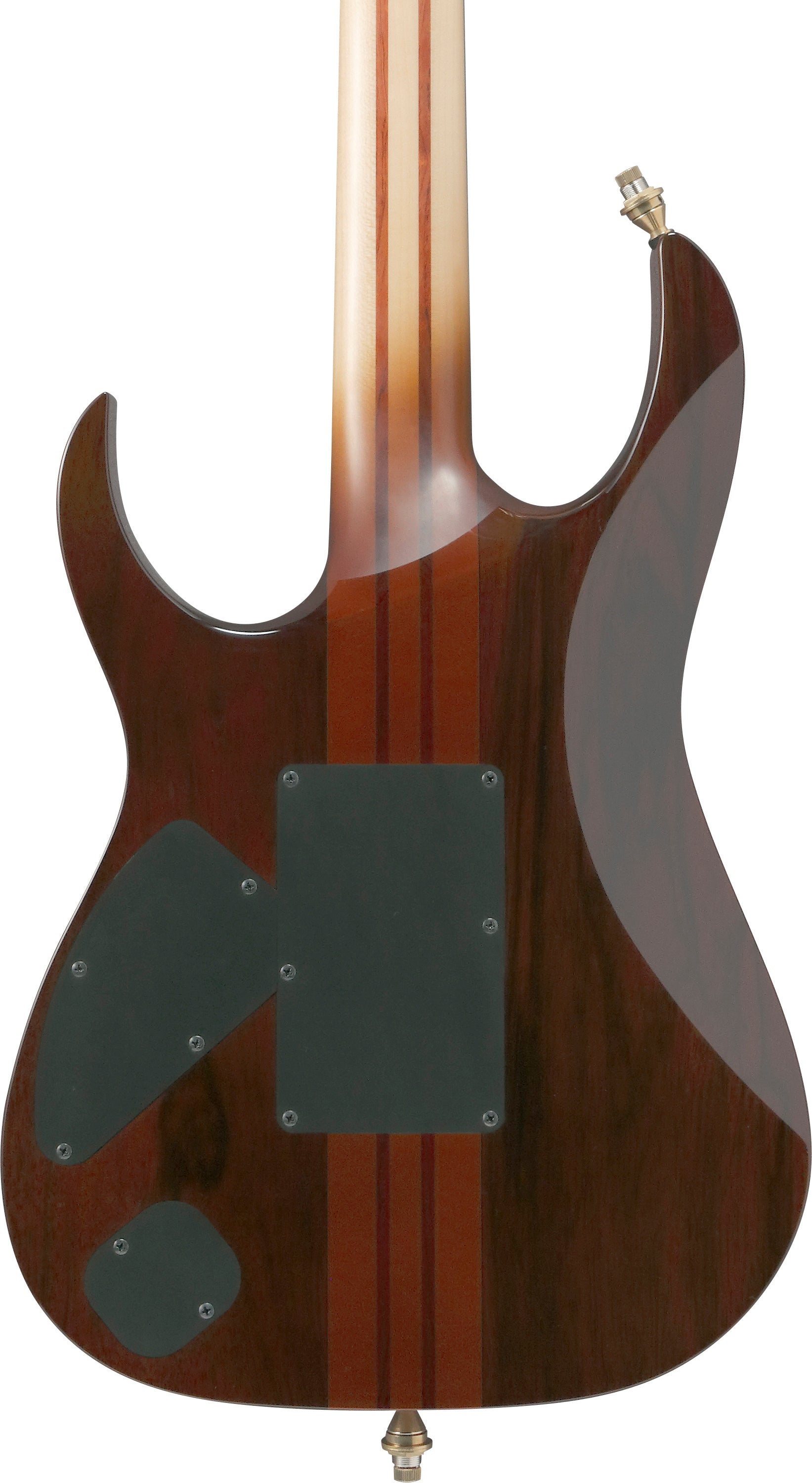 Ibanez Electric Guitar - RG Visions 6str Electric Guitar w/Case - IV1RG
