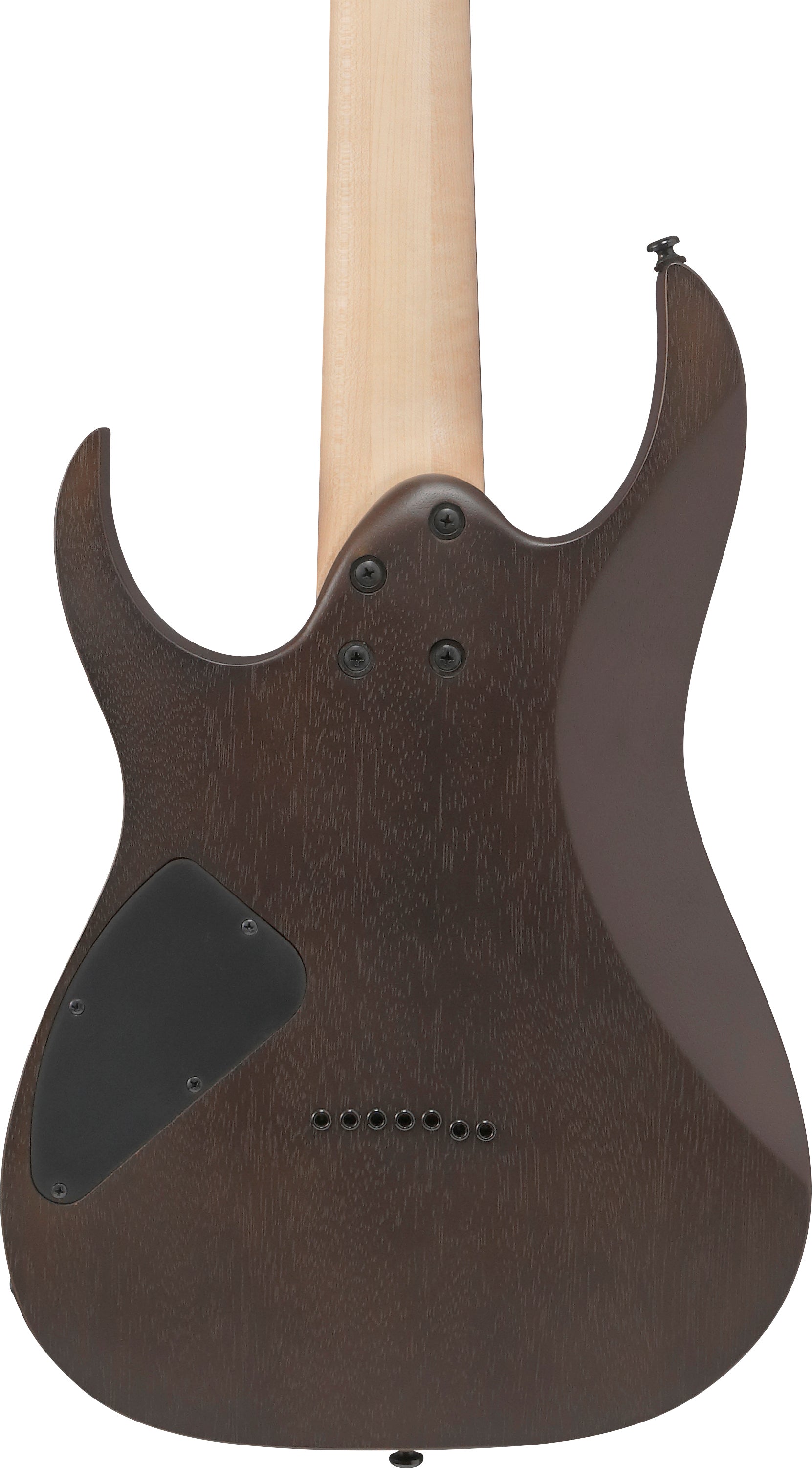 Ibanez Electric Guitar - RG Standard 7str Electric Guitar - Walnut Flat - RG7421WNF
