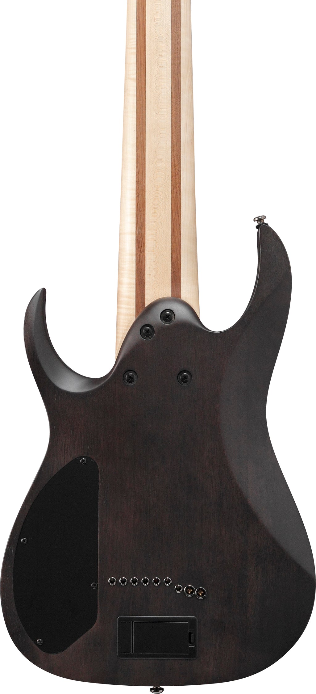 Ibanez Electric Guitar - RG Axe Desing Lab 9str Electric Guitar - Transparent Gray Burst - RG9PBTGF