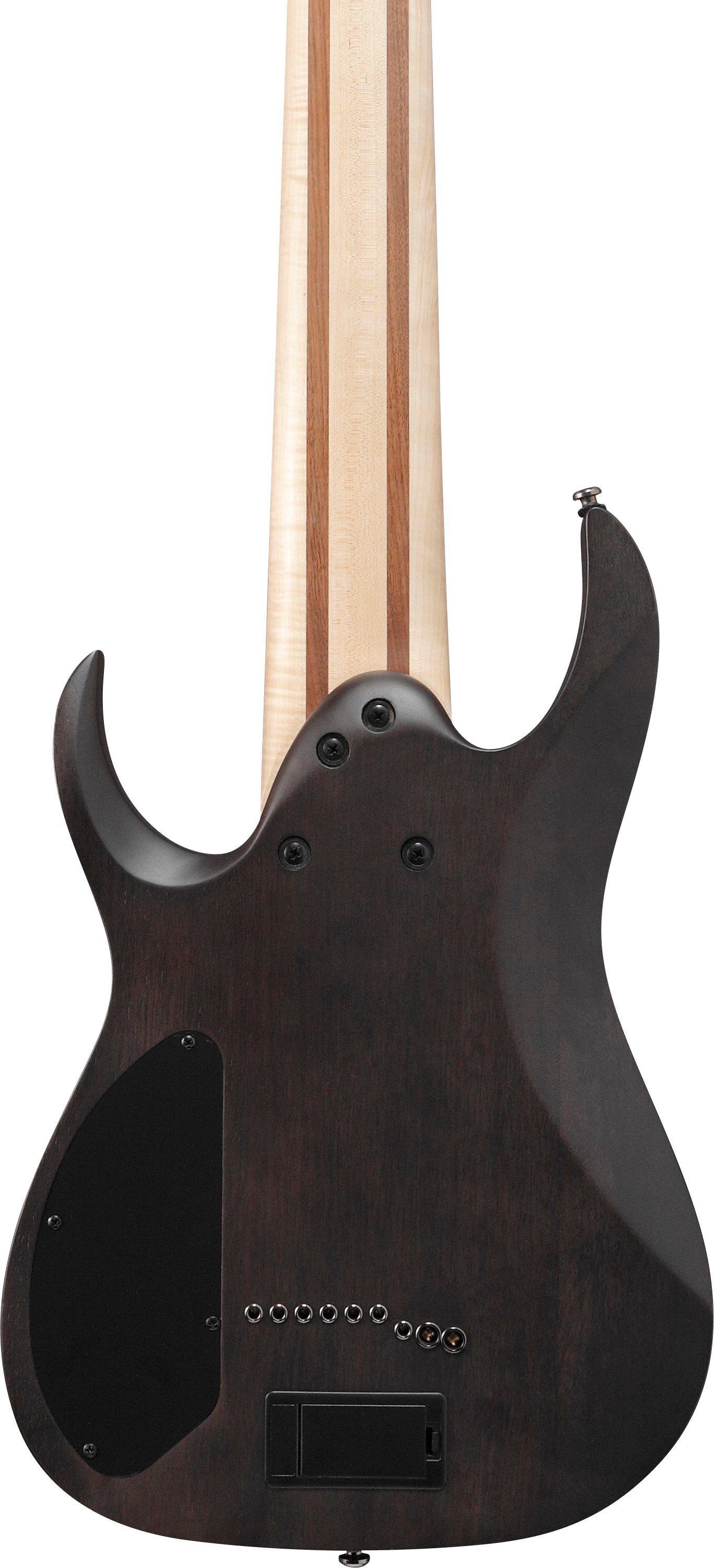 Ibanez Electric Guitar - RG Axe Desing Lab 9str Electric Guitar - Transparent Gray Burst - RG9PBTGF
