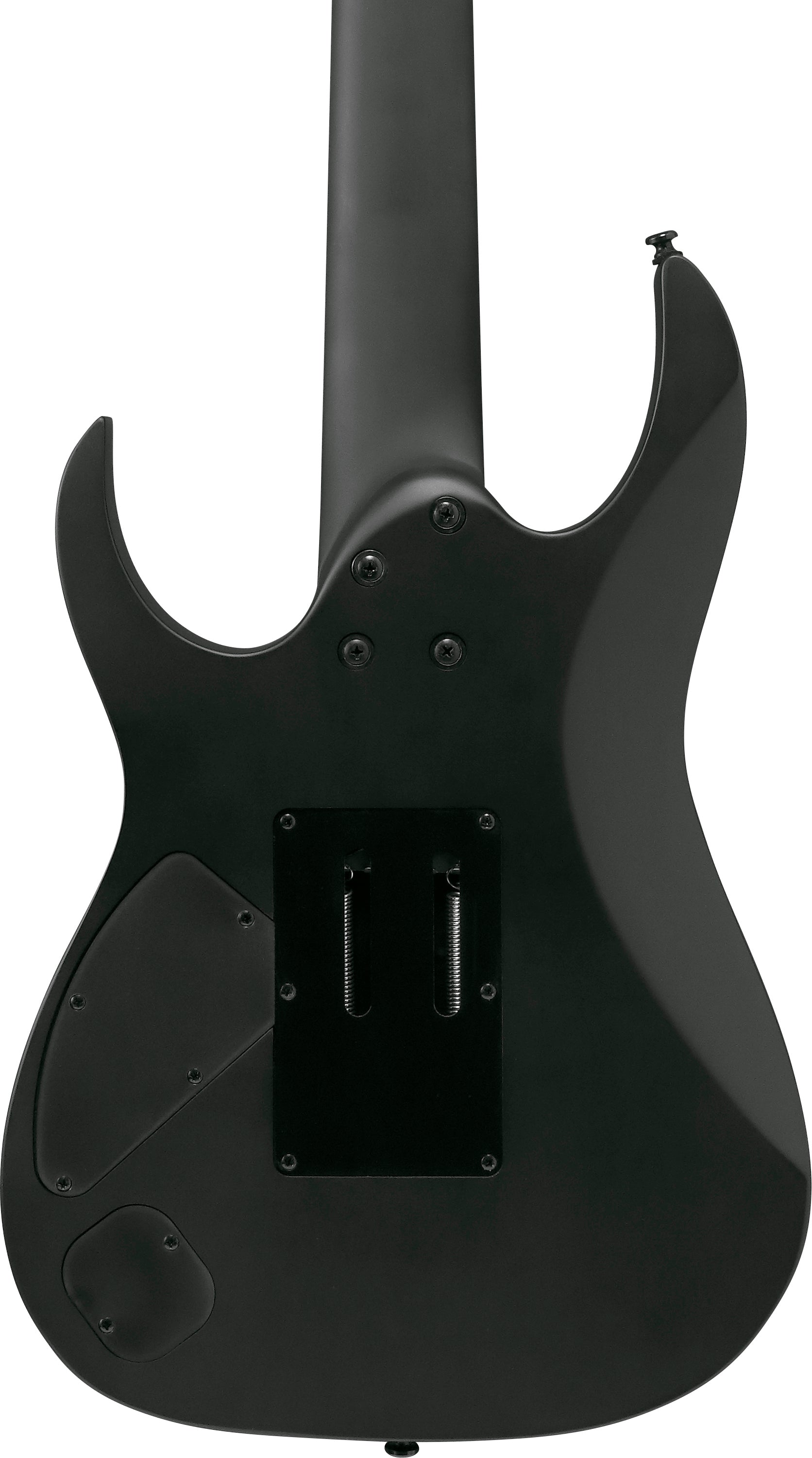 Ibanez Electric Guitar - RG Iron Label 7str Electric Guitar - Black - RGRB720BKF