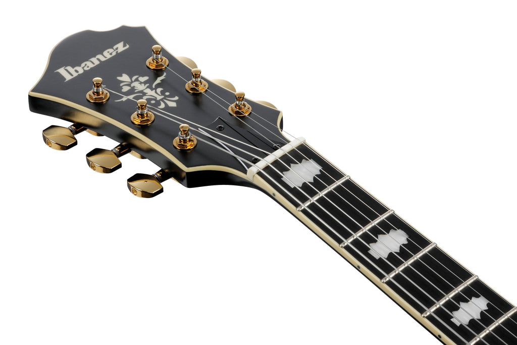 Ibanez Electric Guitar - Pat Metheny Signature 6str Electric Guitar w/Case - Black Low Gloss - PM3CBKL