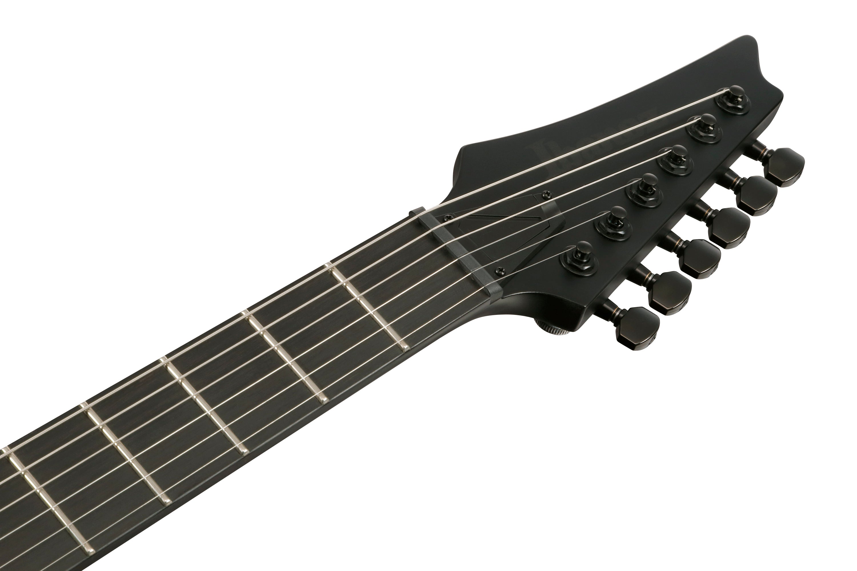Ibanez Electric Guitar - RG Iron Label 6str Electric Guitar - Black Flat - RGRTB621BKF