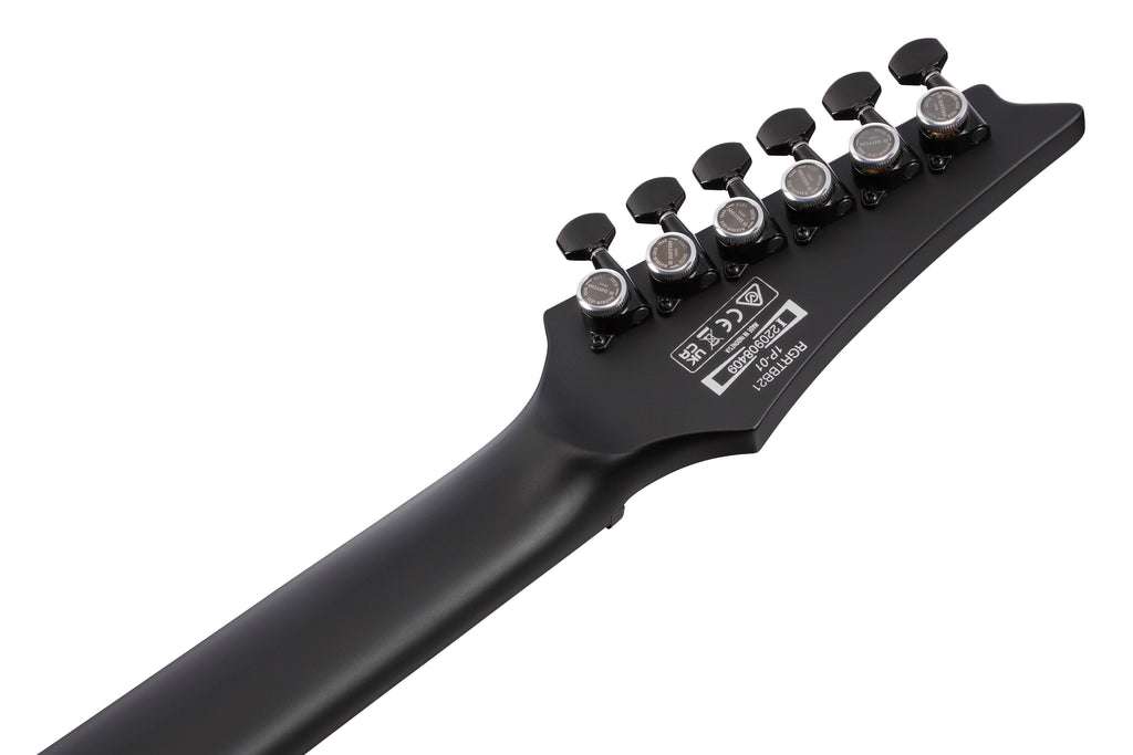 Ibanez Electric Guitar - RG Iron Label 6str Electric Guitar - Black Flat - RGRTBB21BKF