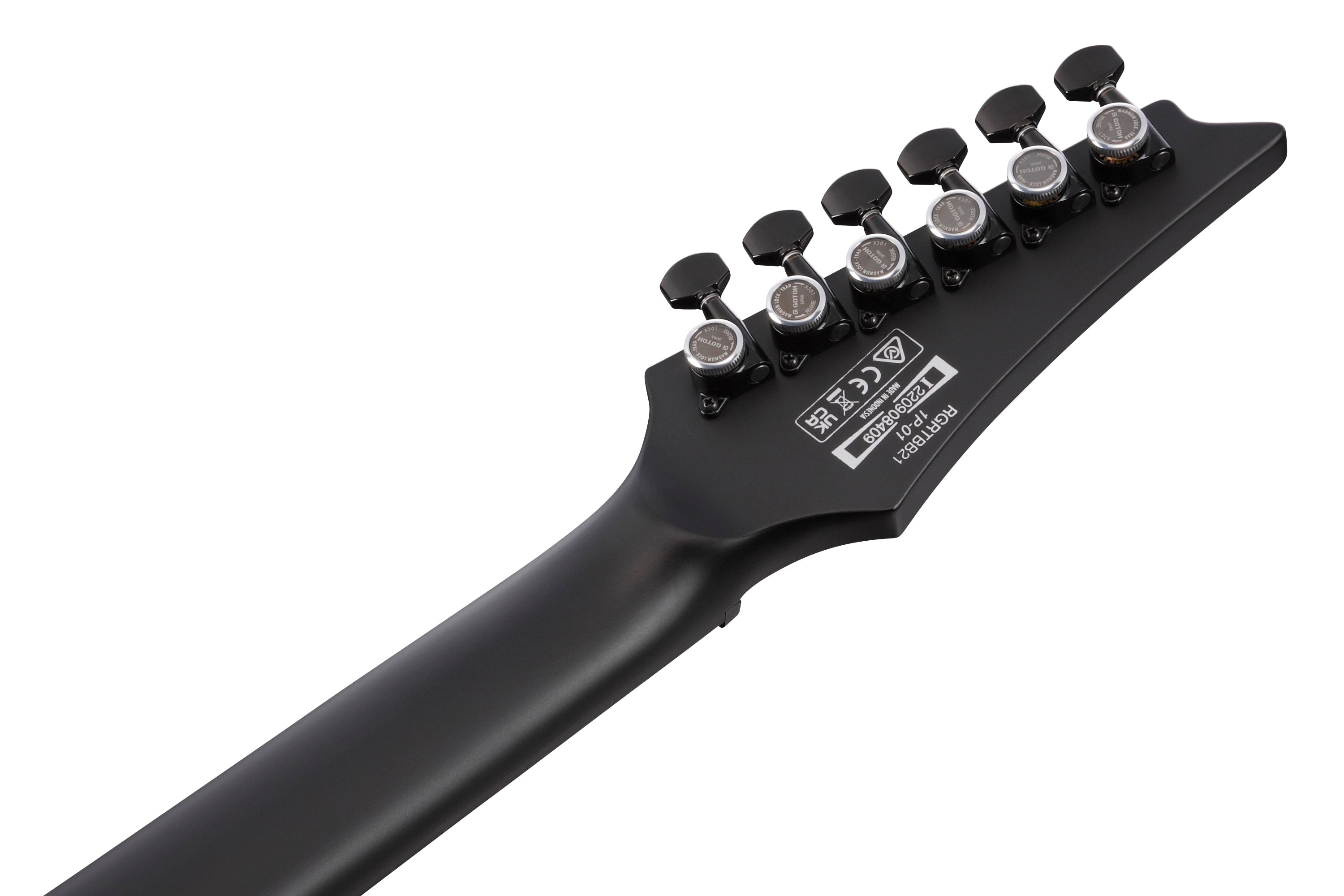 Ibanez Electric Guitar - RG Iron Label 6str Electric Guitar - Black Flat - RGRTBB21BKF