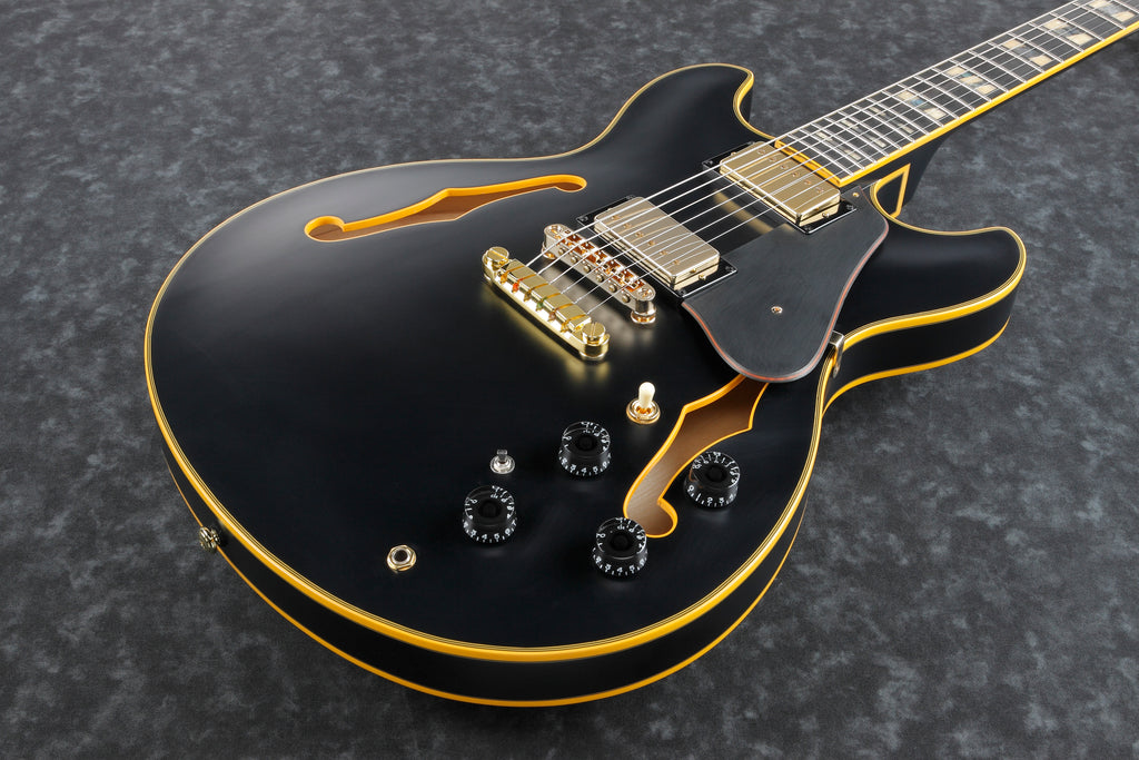Ibanez Electric Guitar - John Scofield Signature 6str Electric Guitar w/Case - Black Low Gloss - JSM20BKL