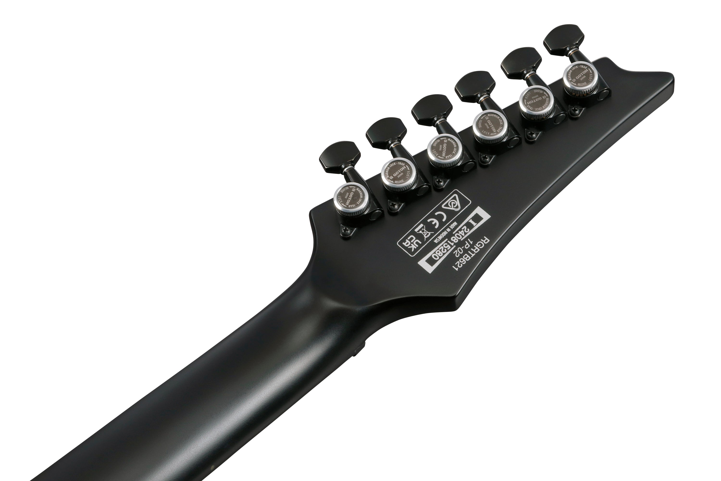 Ibanez Electric Guitar - RG Iron Label 6str Electric Guitar - Black Flat - RGRTB621BKF