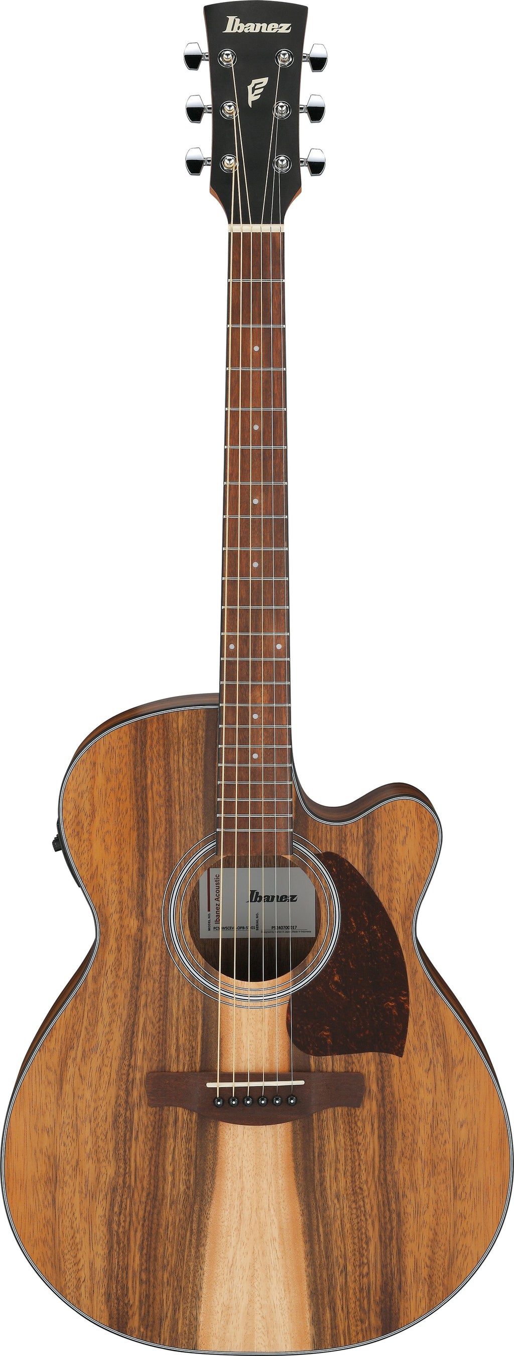Ibanez Acoustic Guitar - PC50WSCE - Open Pore Brown