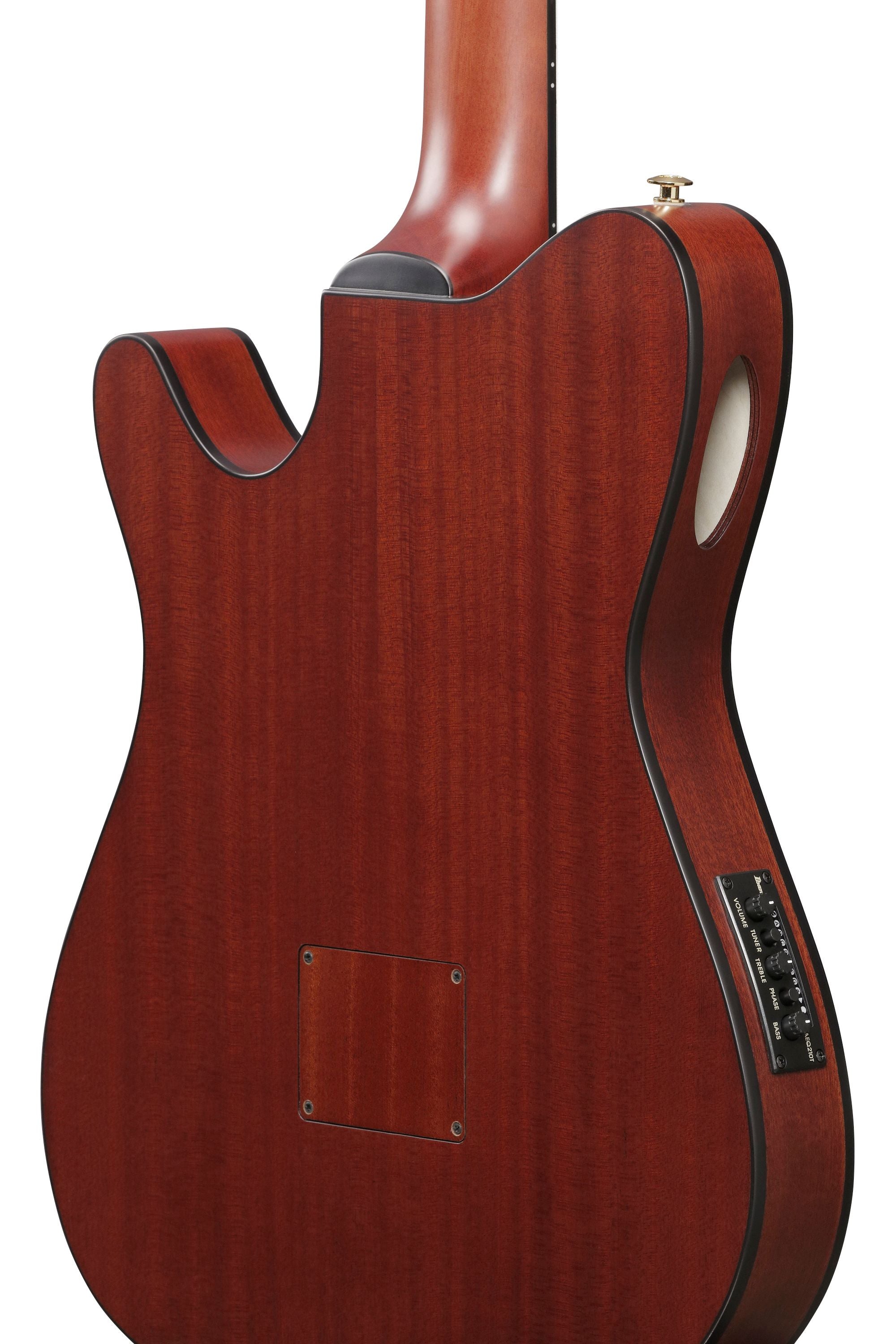 Ibanez Guitars - FRH20SMN - Thinline Nylon-string Acoustic-electric - Tobacco Burst Low Gloss