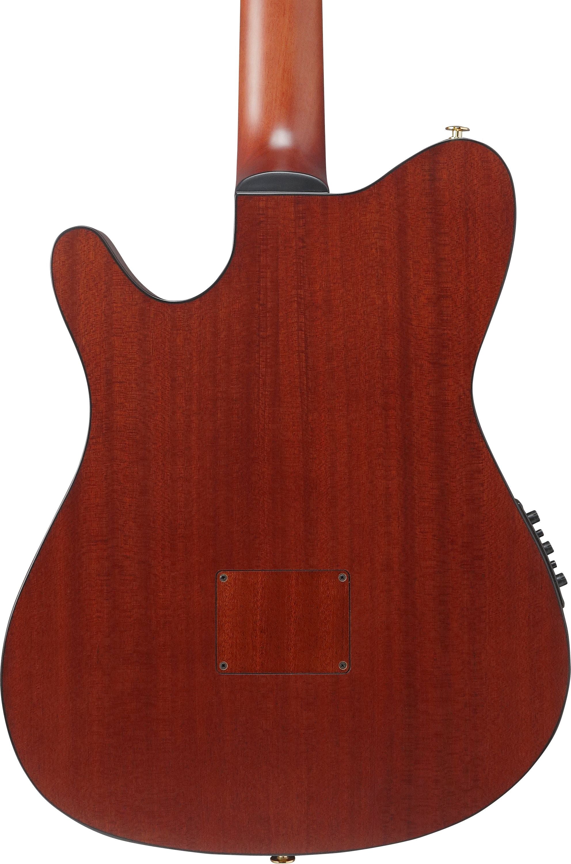 Ibanez Guitars - FRH20SMN - Thinline Nylon-string Acoustic-electric - Tobacco Burst Low Gloss