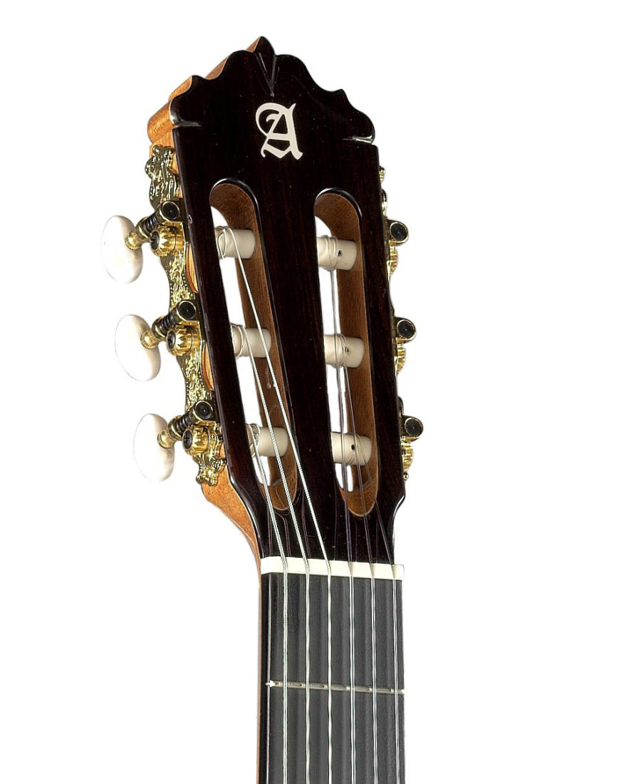 Alhambra Guitarras - 5 P CT E2 Conservatory Classical Guitar with Gig Bag - 5P CT E2