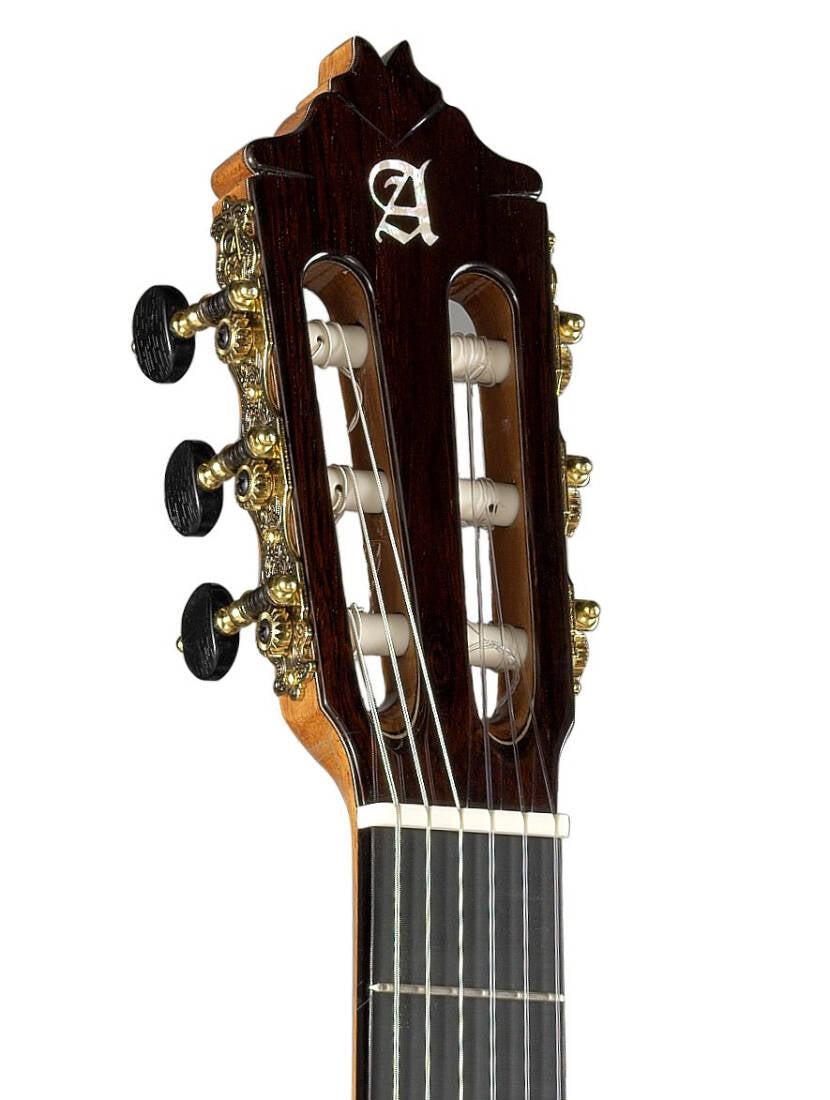 Alhambra Guitarras - 9 P CW E8 Concert Classical/Electric Guitar with Hardshell Case -  9P CW E8