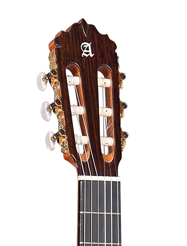 Alhambra Guitarras - 5 P CW E8 Conservatory Classical Guitar with Gig Bag - 5P CW E8