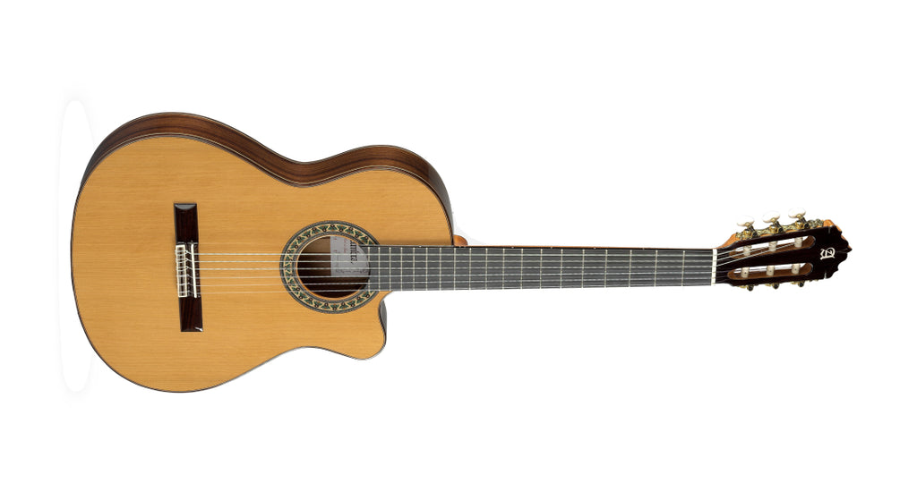 Alhambra Guitarras - 5 P CT E2 Conservatory Classical Guitar with Gig Bag - 5P CT E2
