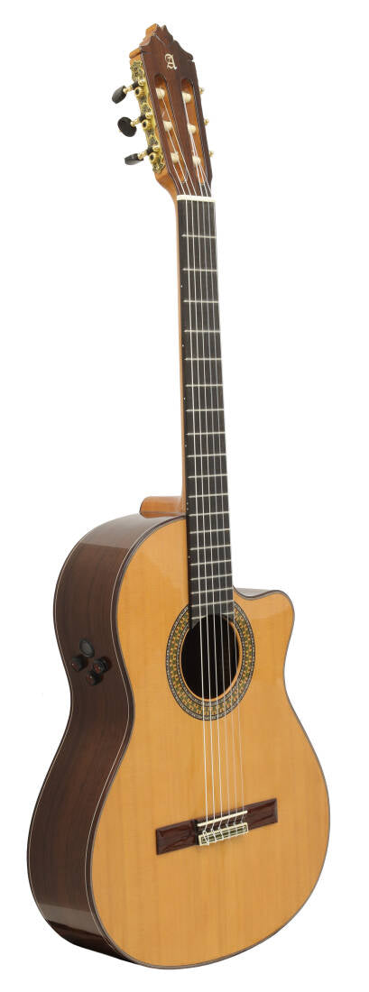 Alhambra Guitarras - 9 P CW E8 Concert Classical/Electric Guitar with Hardshell Case -  9P CW E8