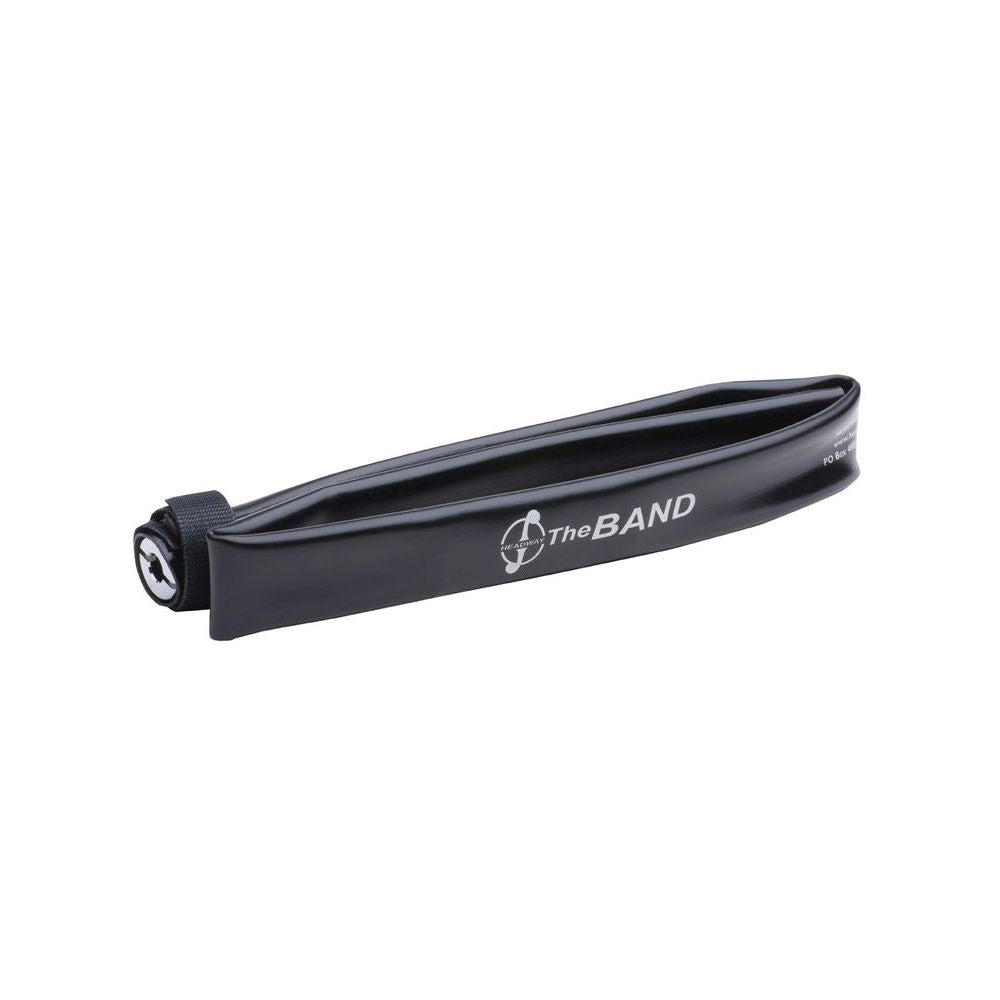 The Band2 Pickup for Viola