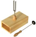 Tuning Fork With Resonance Case